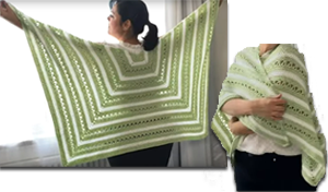 Shawl We Crochet